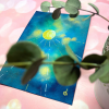 Untitled design - 4 Nuit verte